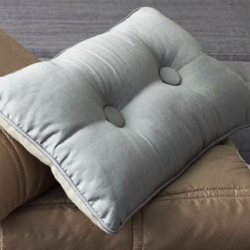 Two Buttoned Silk cushion - rectangular - silver