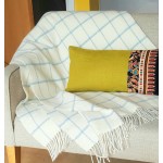 Window Pane Check Throw - white & pastel blue